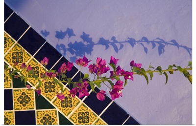 Mexico, Yucatan, Merida, tiled wall near the pool at the Hotel MedioMundo
