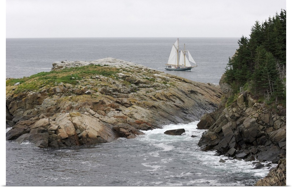 Whale Watching Tours on a Tall Ship, Middle Head, Cape Breton Highlands National Park, Cape Breton, Nova Scotia