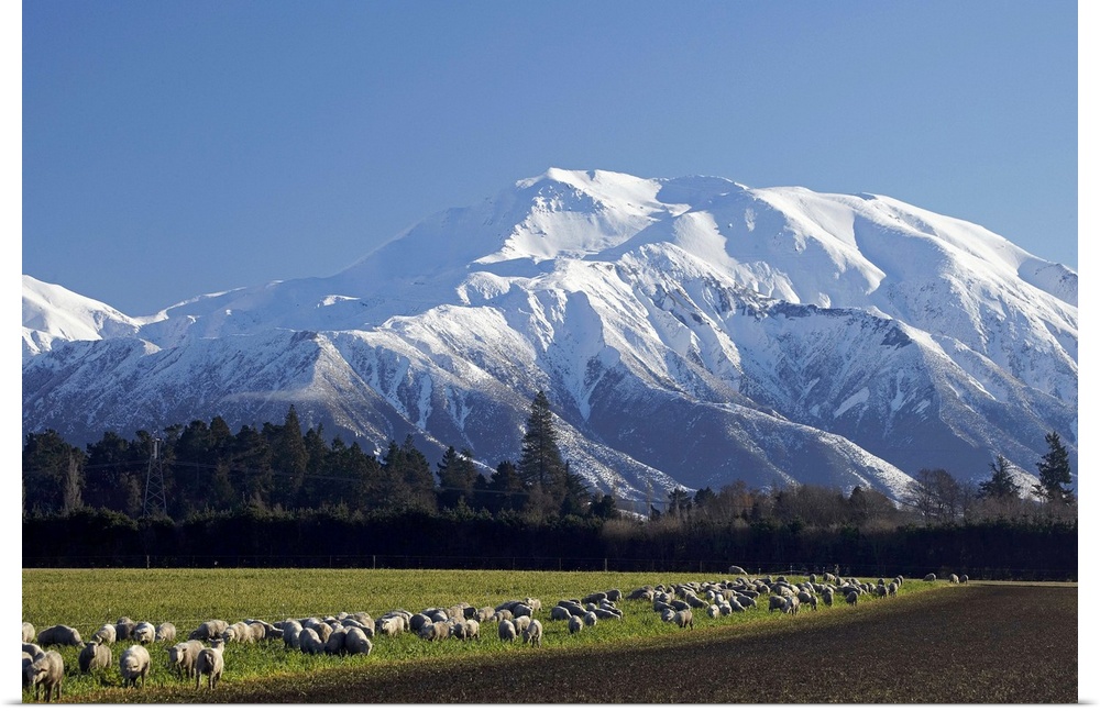 Mount Hutt, Mid Canterbury, South Island, New Zealand