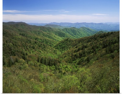 NC, Great Smoky Mountains National Park, Early spring view of Thomas Divide
