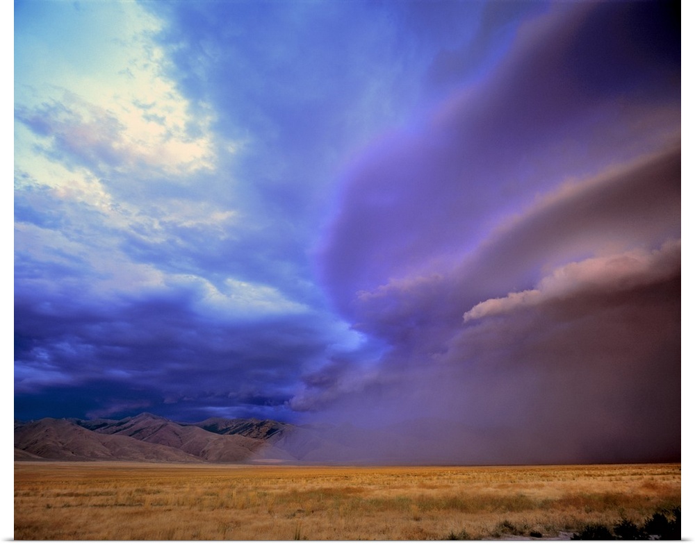 USA, Nevada, Humbolt Co. A storm moves over the Humbolt Country desert in Nevada.