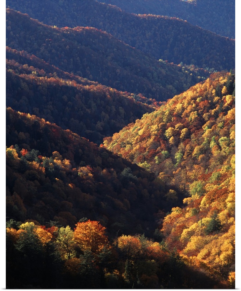 USA, North Carolina, View of Great Smoky Mountains National Park