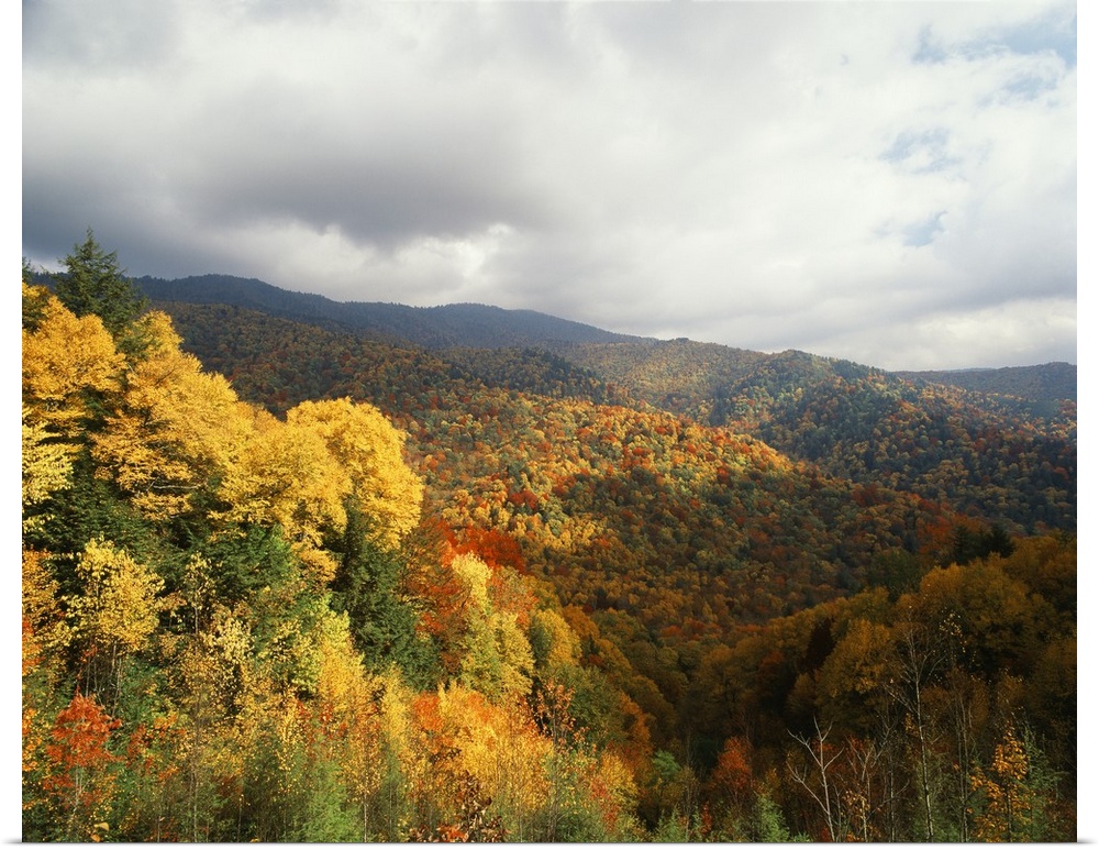 USA, North Carolina, View of Great Smoky Mountains National Park in autumn from Thomas Ridge