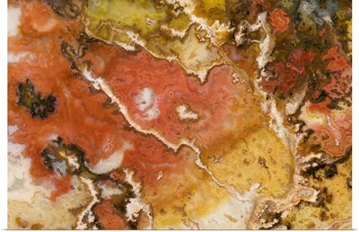 Oregon. Close-up of Graveyard Point Plume Agate stone