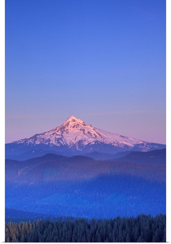 USA, Oregon, Columbia River Gorge National Scenic Area, Mount Hood.as seen from Larch Mountain