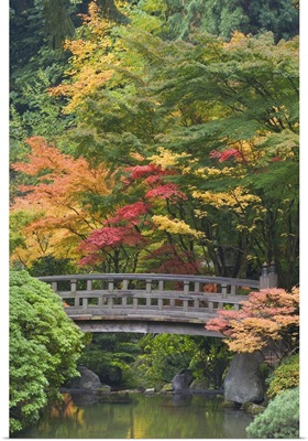 Oregon, Portland. Wooden bridge over pond at Portland Japanese Garden
