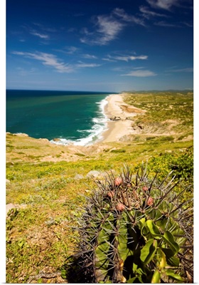 Rancho Carisuva, Migrino area, west side of peninsula, Cabo San Lucas, Mexico