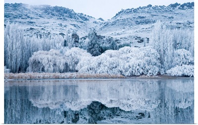 Reflections and Hoar Frost, Butchers Dam, Central Otago, South Island, New Zealand