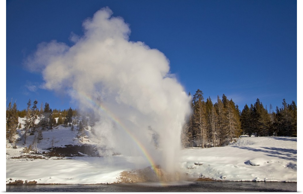Riverside Geyser erupts along the Firehole River on a nice sunny winter day in Yellowstone National Park.