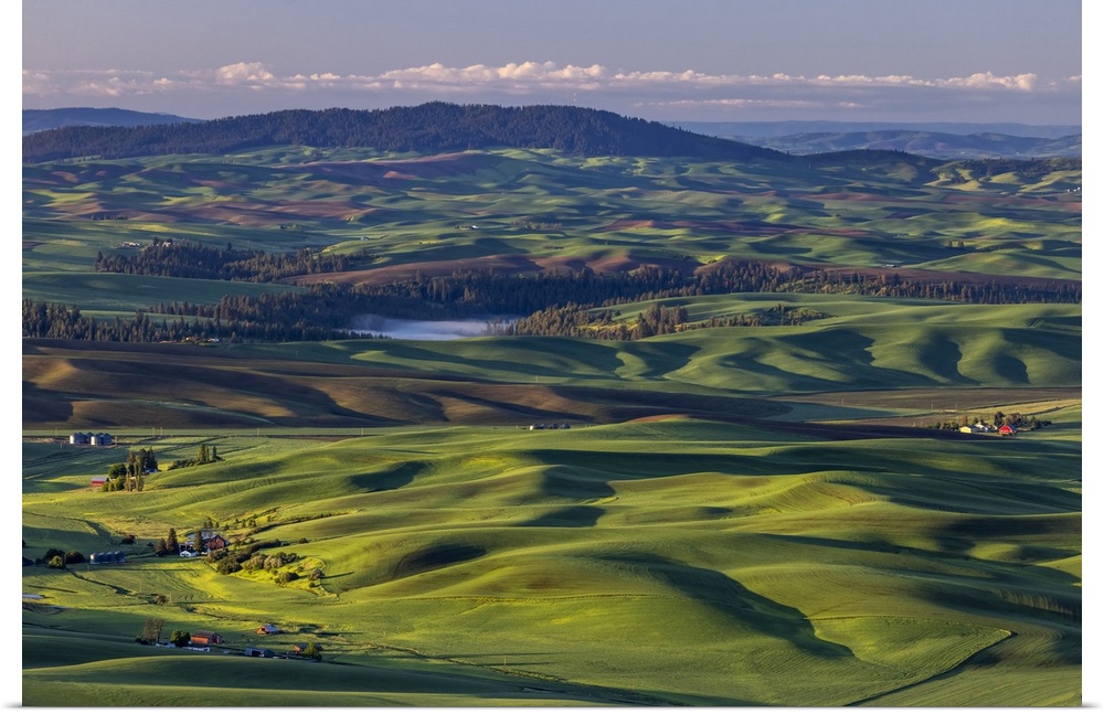 Rolling hills with barns from Steptoe Butte near Colfax, Washington State, USA.