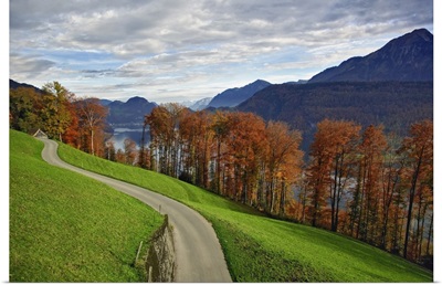 Rural Road And Autumn Foliage Along Lake, Near Lucerne, Switzerland