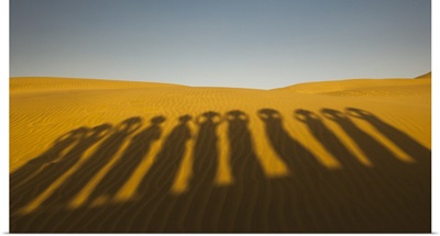 Shadows Of Waterbearers, Thar Desert, India