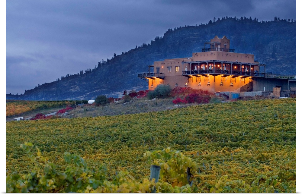 Stormy sky over the fall-colored vineyards and winery of Burrowing Owl Winery with lights on in the Okanagan, BC, Canada.