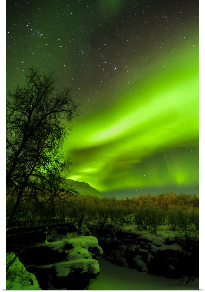 Sweden, Norrbotten, Abisko. Aurora Borealis (Northern Lights) over Abisko Canyon.