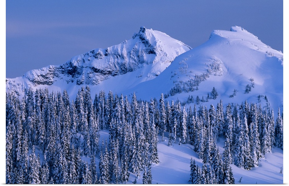 Tatoosh Range and snow covered trees, Mount Rainier National Park, Washington.