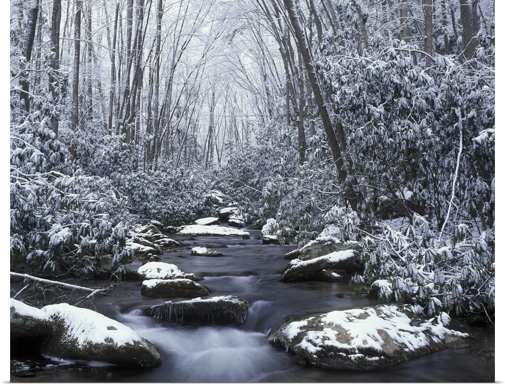 Tennessee, Great Smokey Mountains National Park, Cosby creek in winter.