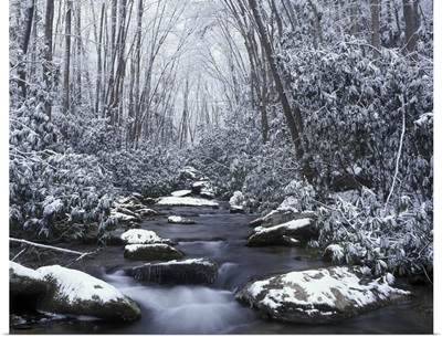 Tennessee, Great Smokey Mountains National Park, Cosby creek in winter
