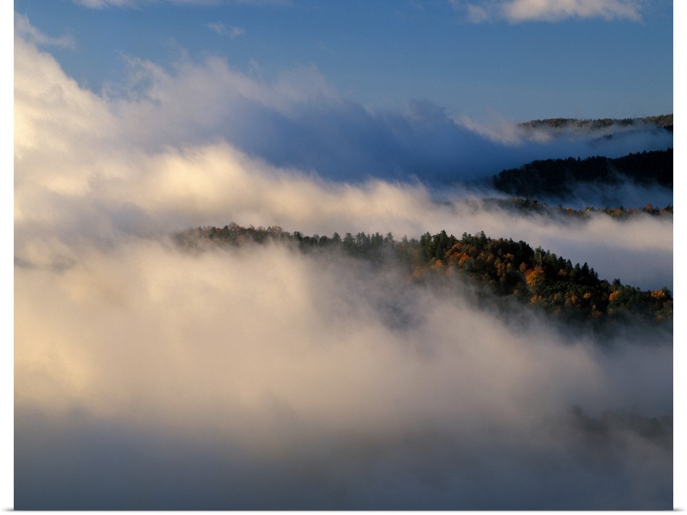 Tennessee, NC Great Smoky Mt NP, Scenic view of mountain ridges with fall foliage and fog .