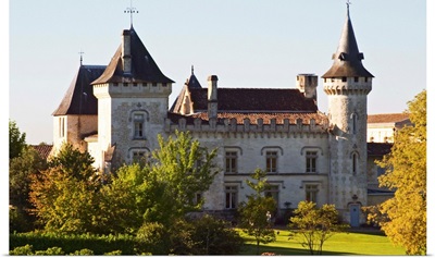 The chateau with turrets and vineyard - Chateau Carignan
