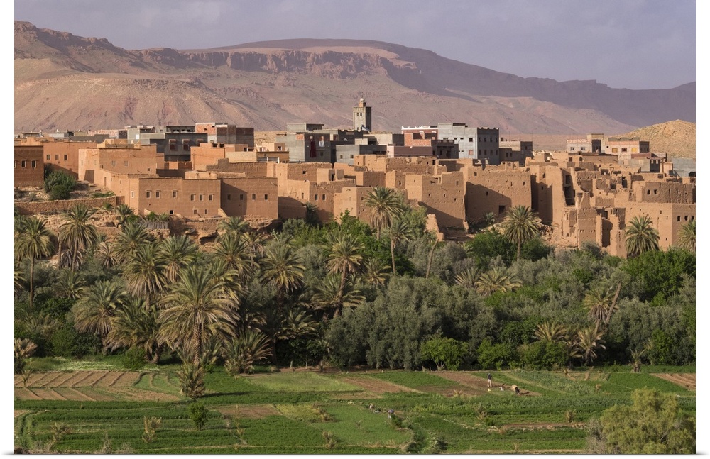 Africa, Morocco. The oasis behind the village of Tinerhir is a rich farming area for the villagers.
