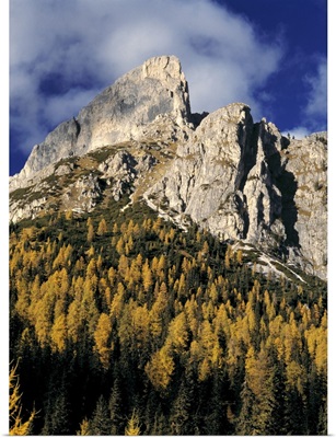 The sharp crags of the Sella area of Italy's Dolomite Alps are framed by pines.