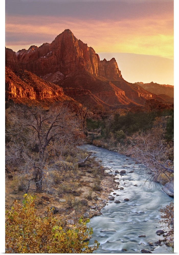 The Watchman, one of the most prominent mountain formations in Zion National Park, lights up at sunset with the Virgin Riv...