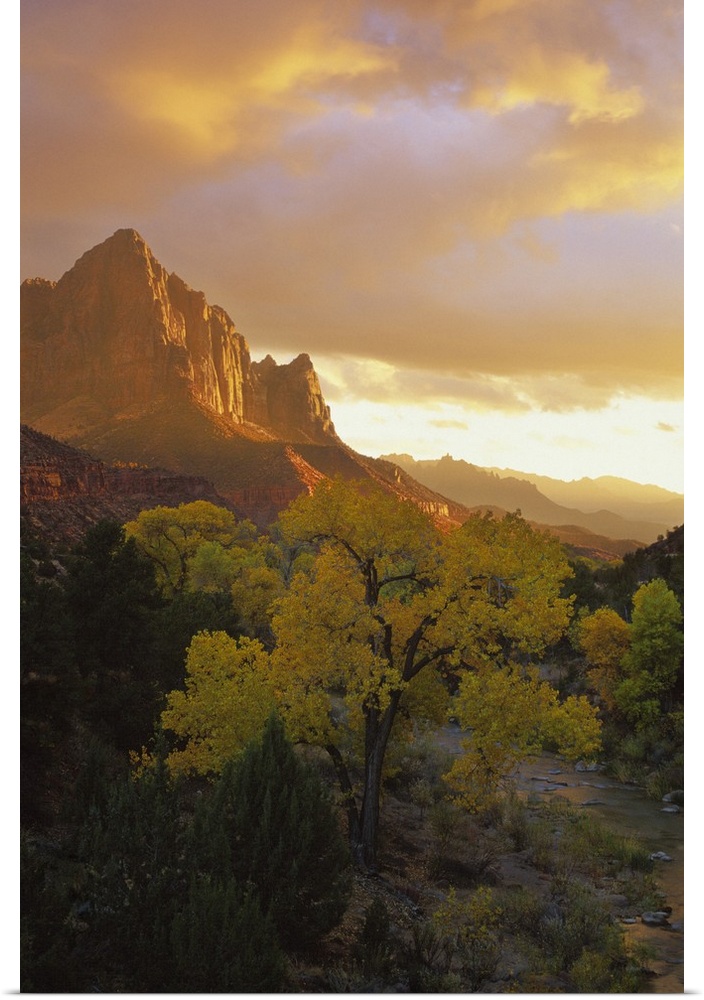 USA, Utah, Zion National Park. The Watchman in the distance with Virgin River in foreground reflecting a sunset sky.