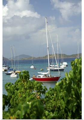 US Virgin Islands, St. John, Cruz Bay, Boats in the harbor