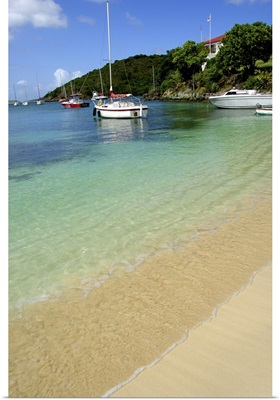 US Virgin Islands, St. John, Cruz Bay, Sailboats in Cruz Bay harbor