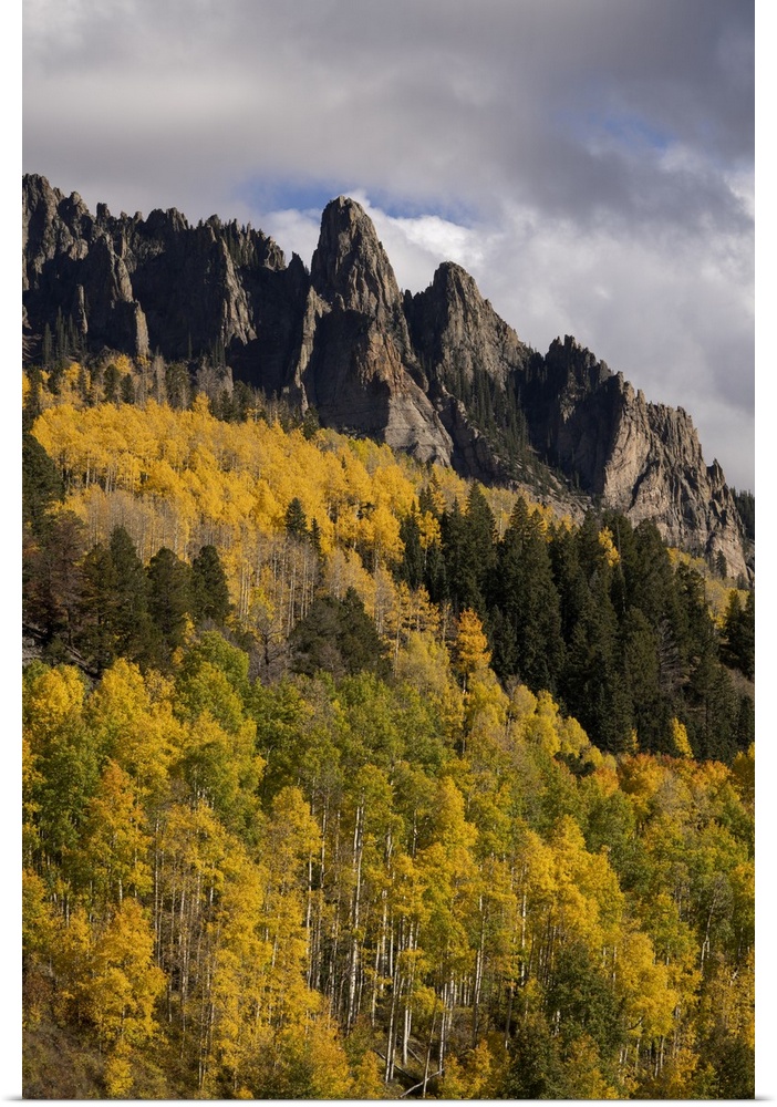 USA, Colorado, Uncompahgre National Forest. Mountain and forest in autumn. United States, Colorado.