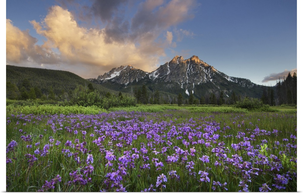 USA, Idaho, Mcgown Peak Sawtooth Mountains
