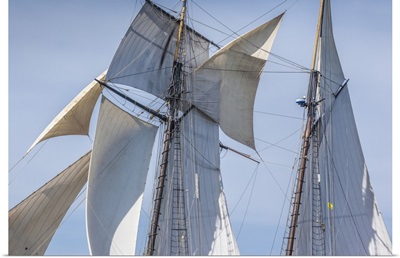 USA, Massachusetts, Cape Ann, Gloucester, Gloucester Schooner Festival, Schooner Sails