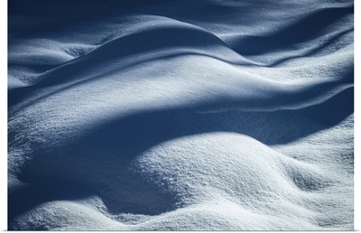 USA, New Jersey, Pine Barrens National Preserve, Shadow Patterns On Fresh Snow