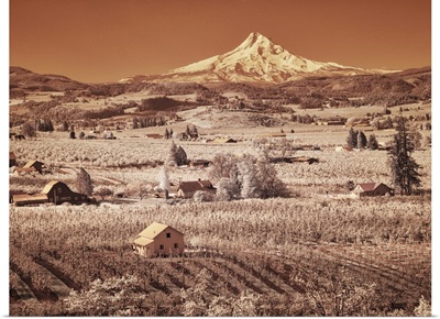 USA, Oregon, Columbia Gorge, Infrared Of Spring Orchards In Bloom And Mount Hood