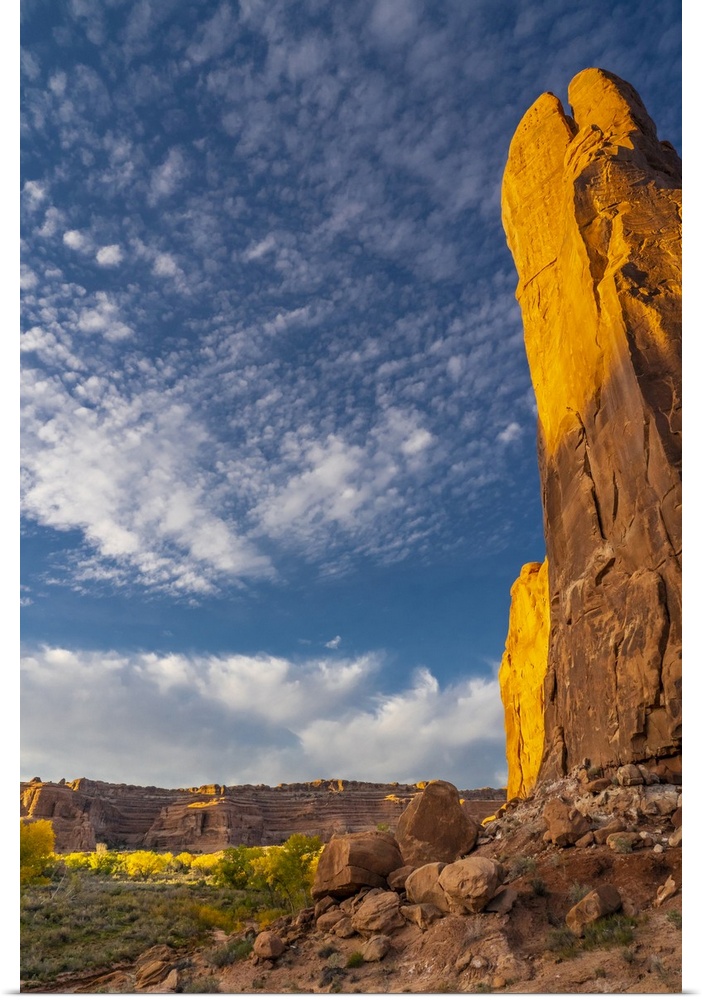 USA, Utah. Cliffs, clouds, and autumn cottonwoods at sunset, Arches National Park.