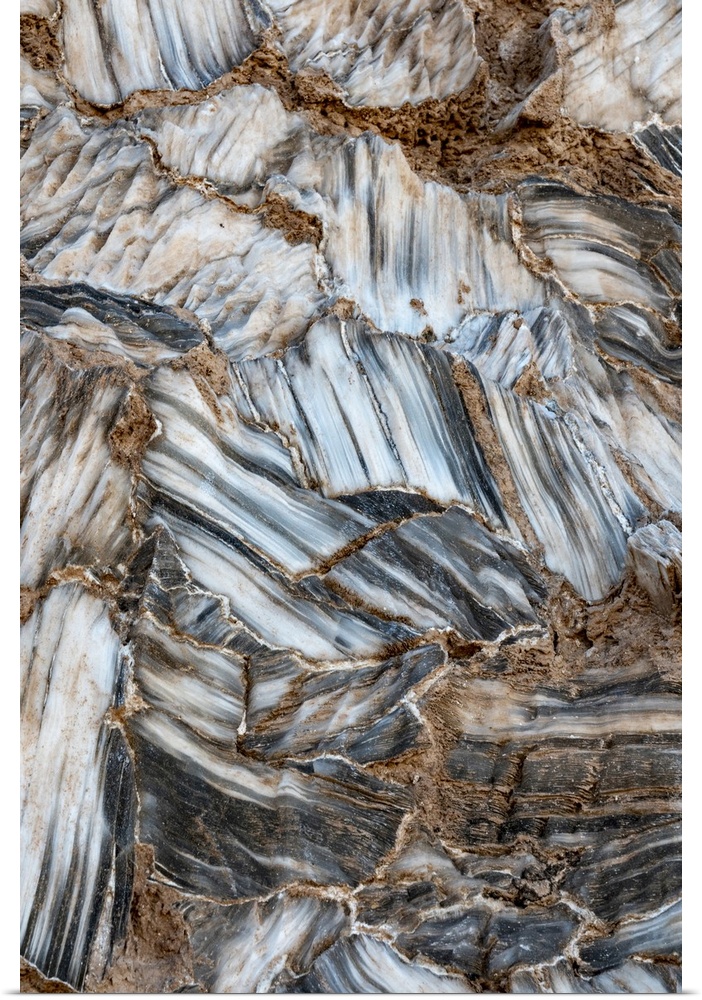 USA, Utah. Selenite gypsum crystal detail, Glass Mountain, Capitol Reef National Park.