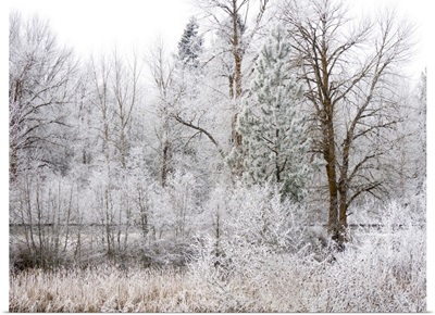 USA, Washington State, Cle Elum, Kittitas County, Winter Along The Yakima River