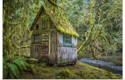 USA, Washington State, Olympic National Park, Tolkien-Like Abandoned Cabin