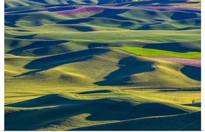 USA, Washington State, Palouse And Steptoe Butte State Park View Of Wheat And Canola
