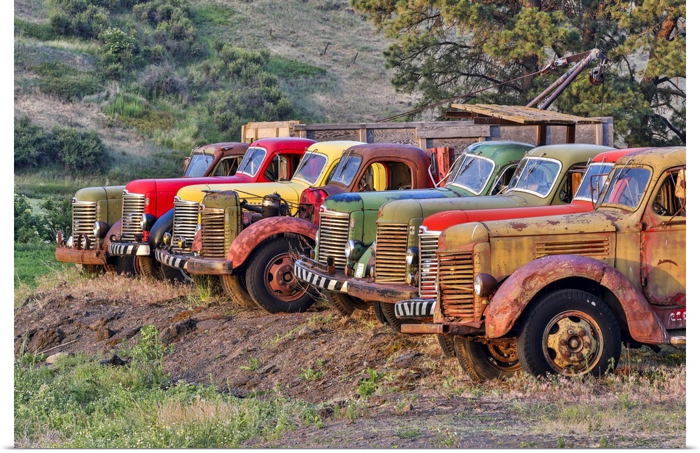USA, Washington State, Palouse, Antique Trucks