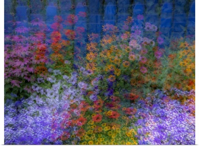 USA, Washington State, Sammamish Colorful Flowers And Blue Picket Fence Multi Exposures