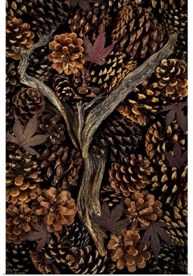 USA, Washington State, Seabeck, Pine Cones And Fall Leaves