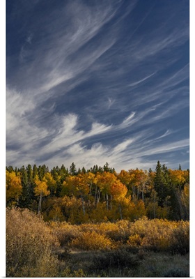USA, Wyoming, Autumn Afternoon Clouds, Grand Teton National Park