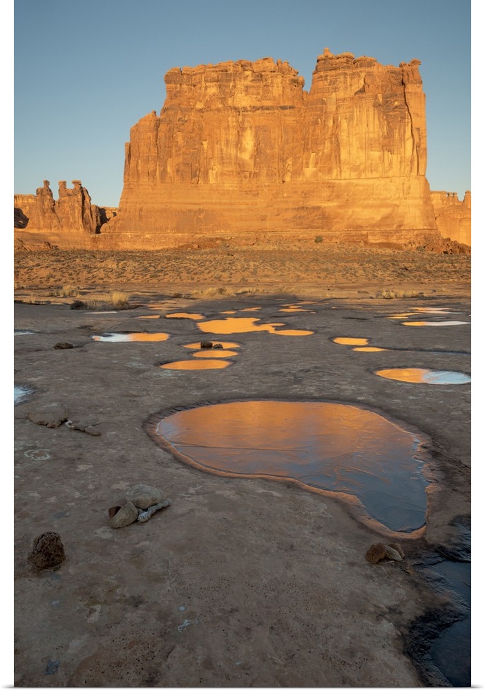 North America, USA, Utah, Arches National Park.  Reflected light  from the Organ in icy pot holes, Arches National Park, UT
