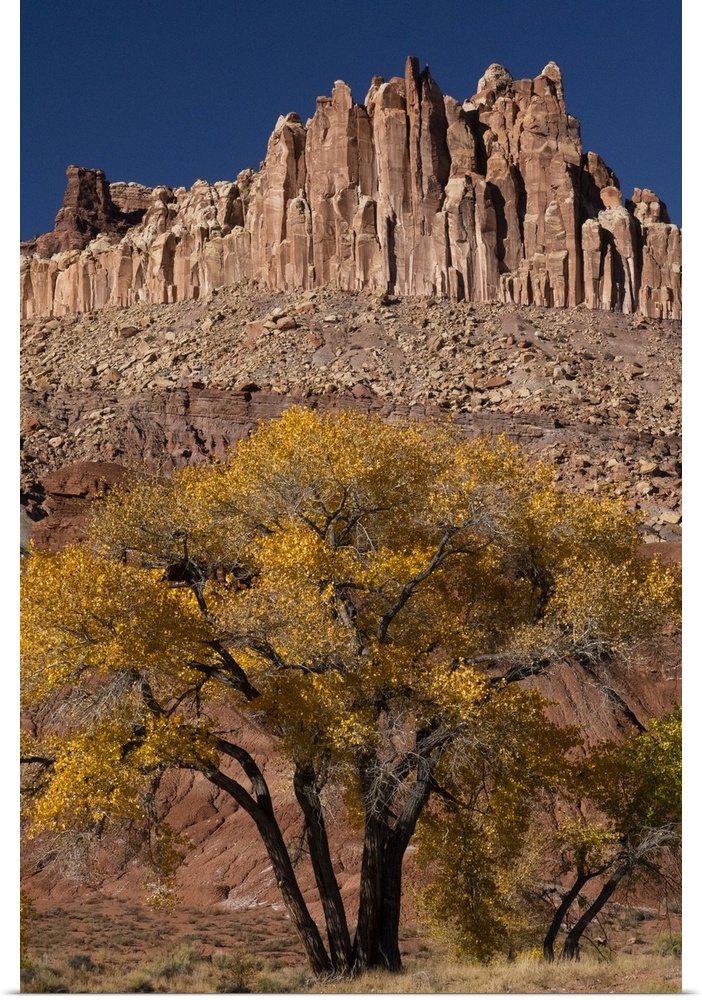 USA, Utah. The Castle, geological features and autumn foliage, Capitol Reef National Park.