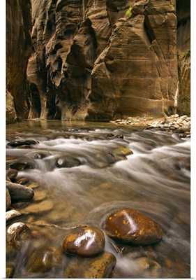 Utah, Zion National Park, a scene along the Virgin River Narrows