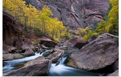 Utah, Zion National Park, waterfall with cottonwood trees along Riverside Wal