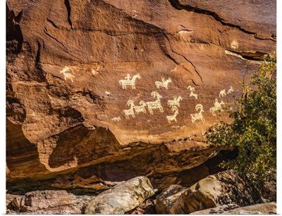 Ute Indian Petroglyphs, Arches National Park, Moab, Utah, USA, Created 1650 To 1850 Ad