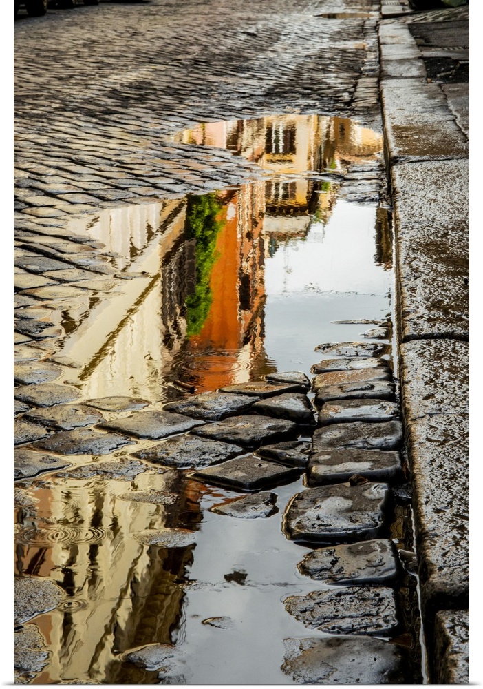 Italy, Rome. Via della Penna, side street west of Via Ripetta, with puddles from the rain and reflection.