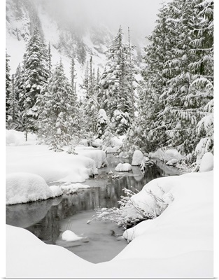 Washington State, Central Cascades, Granite Creek Winter Scene